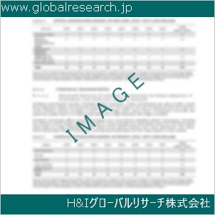 グローバルリサーチ調査資料のイメージ